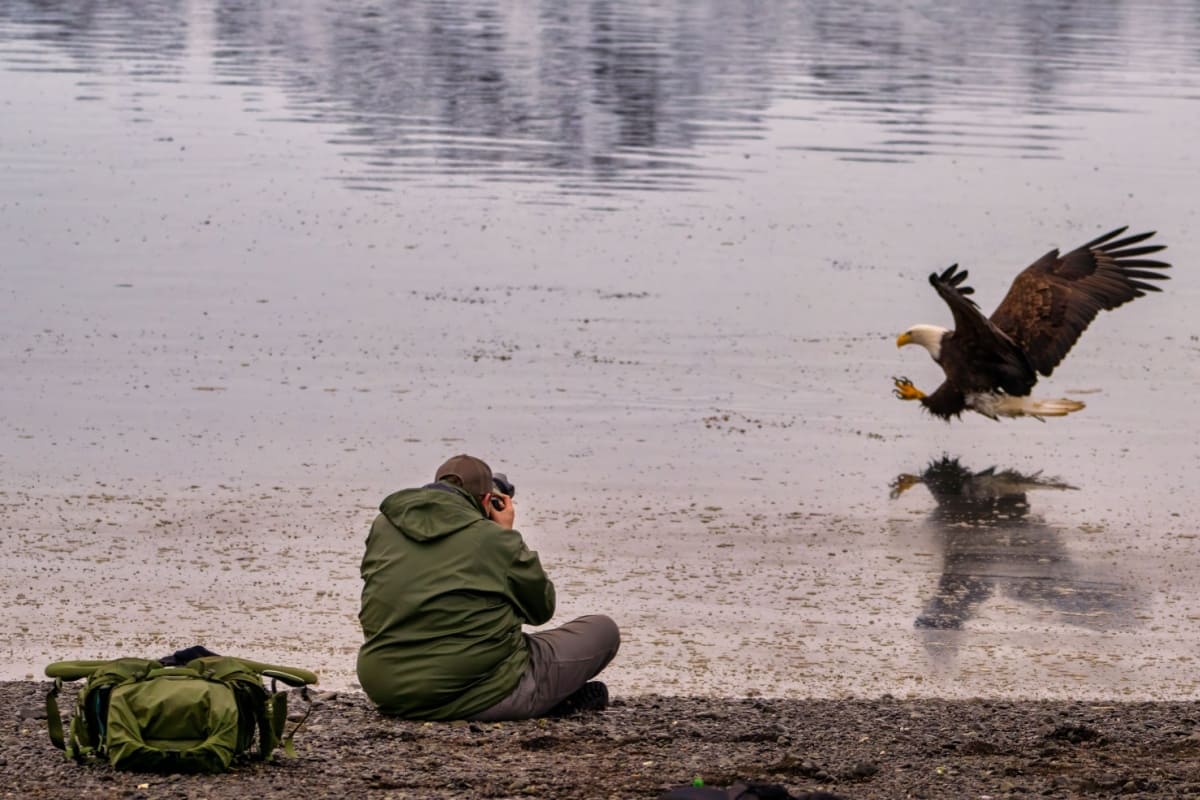 chris cappelmann Wildlife Photographer of the Year People's Choice Award